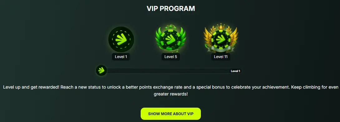BetNjet Casino VIP
